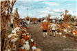 Pumpkin Village 02