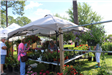 Plant and Flower Booth