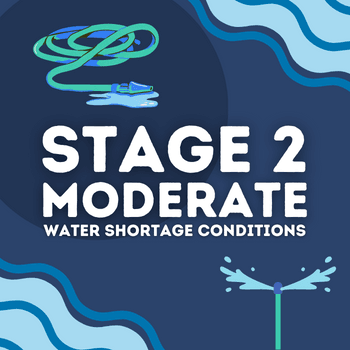 Stage 2 - Moderate (350x350)