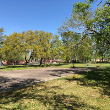Picture of Brownwood Park Playscape